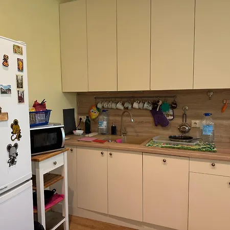 Ernesta Grand With Balcony 90m, Large Living With Kitchen, 2 Bedrooms Riga